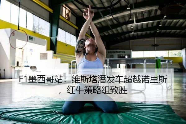 mo-xi-ge-zhan-wei-si-ta-pan-fa-che-chao-yue-nuo-li-si-hong-niu-ce-lve-zu-zhi-sheng-2-359.jpg